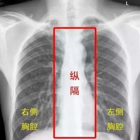 202511061517269363.png 202511061517269363.png